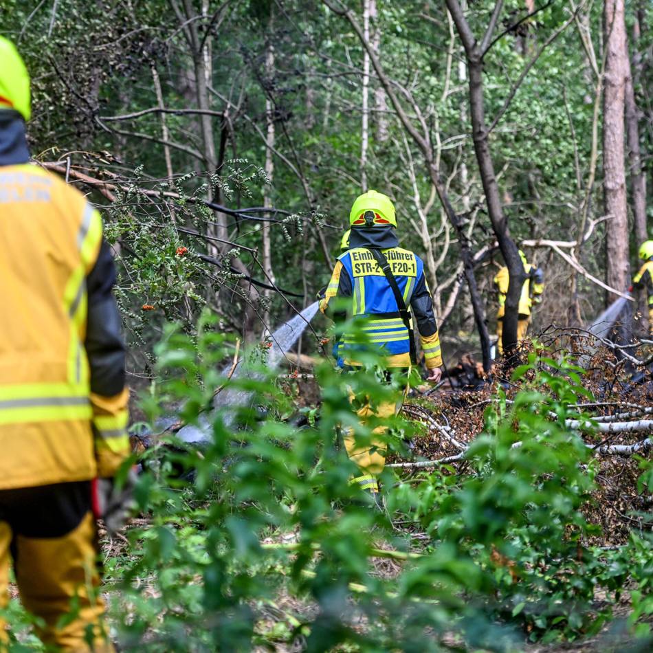 Brandserie nahe der Blauen Lagune: Wieder brennt der Wald bei Herongen – „Es wurde Brandbeschleuniger verwendet“