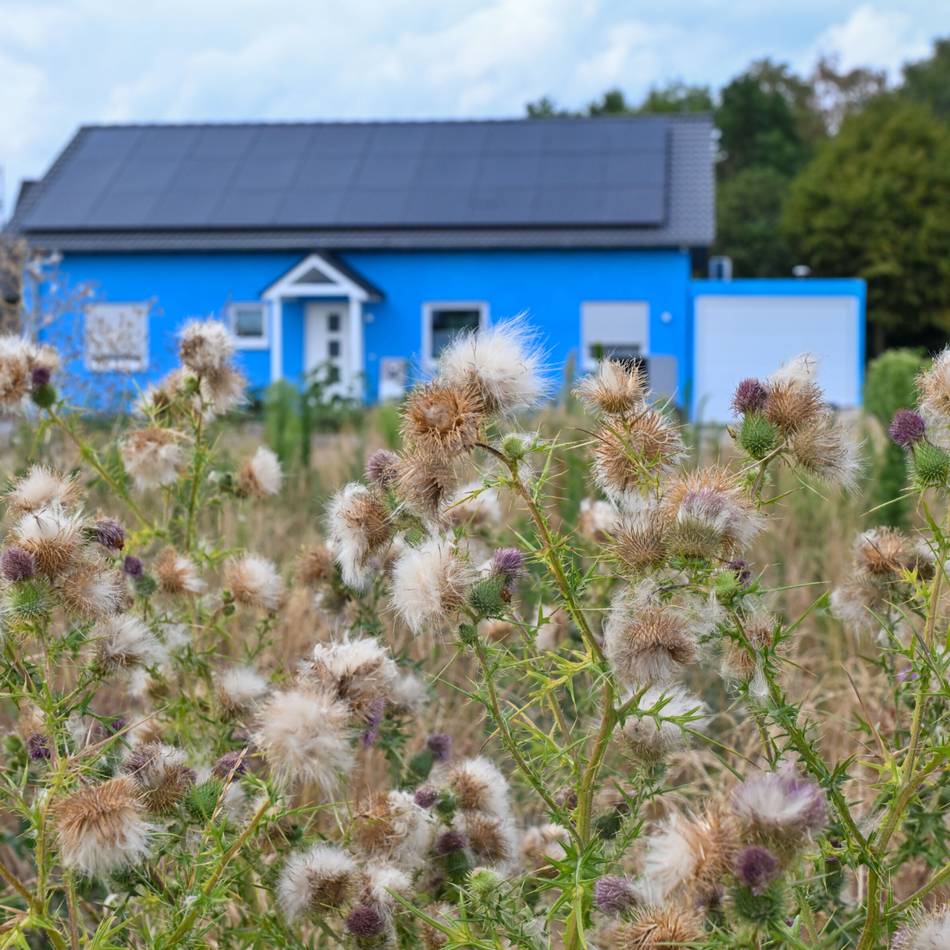 Mangelhafte Gestaltungssatzung: „Schlumpfhaus“ in Veert sorgt für Aufsehen