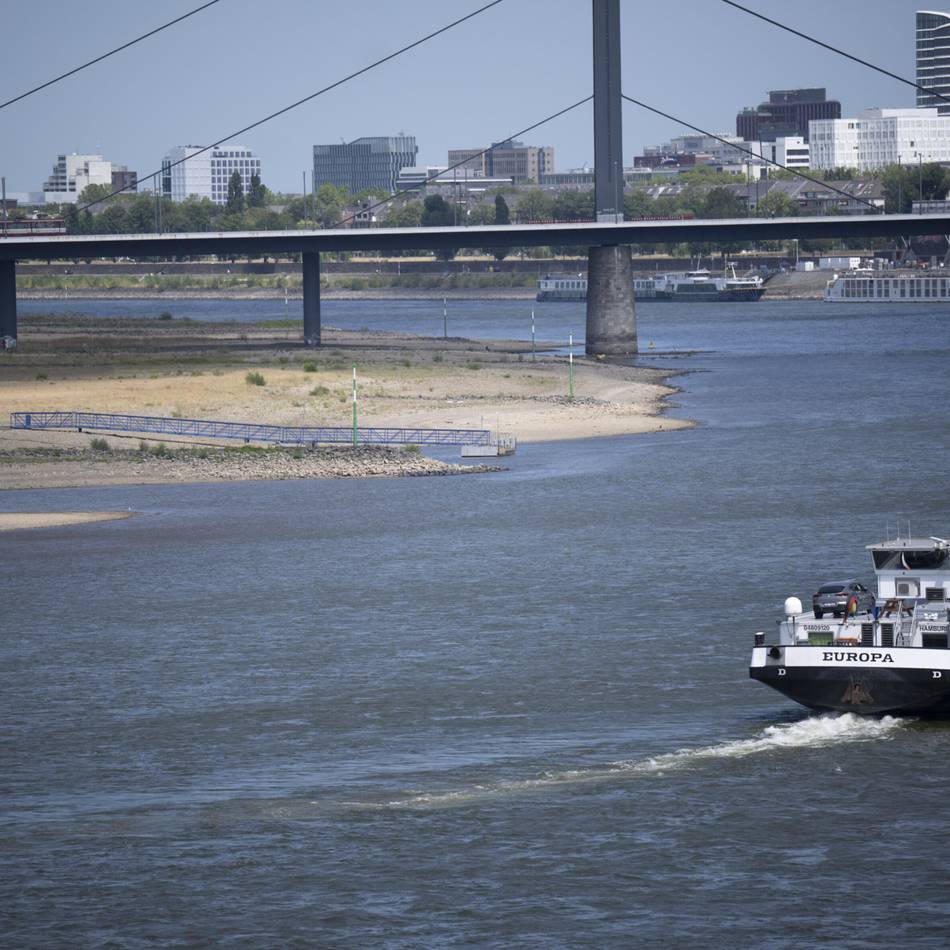Hitze lässt Fische sterben: Rheinpegel sinkt weiter – Schifffahrt wird eingeschränkt