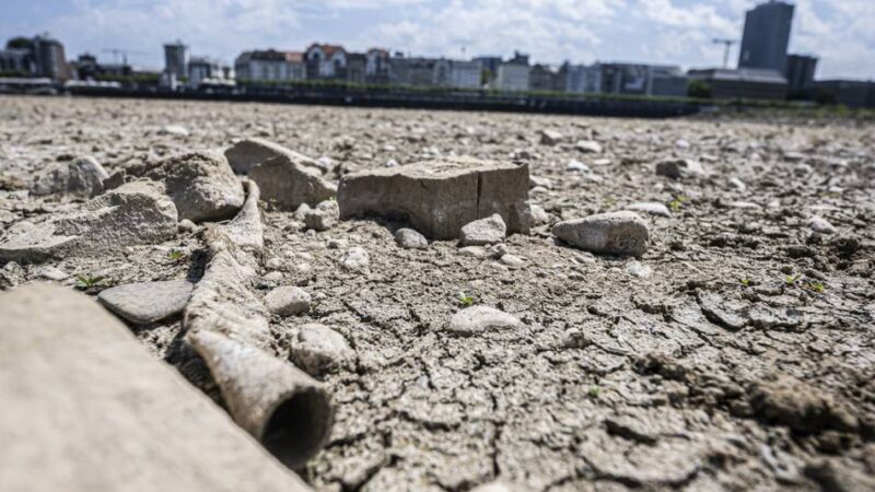 Hitze und Niedrigwasser: Hier war mal der Rhein – spektakuläre Bilder aus Düsseldorf