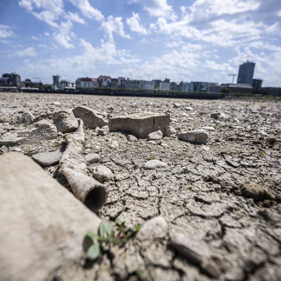 Hitze und Niedrigwasser: Hier war mal der Rhein – spektakuläre Bilder aus Düsseldorf