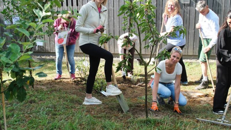 Projektttag in Heiligenhaus: Firmen und Schulen packen gemeinsam an