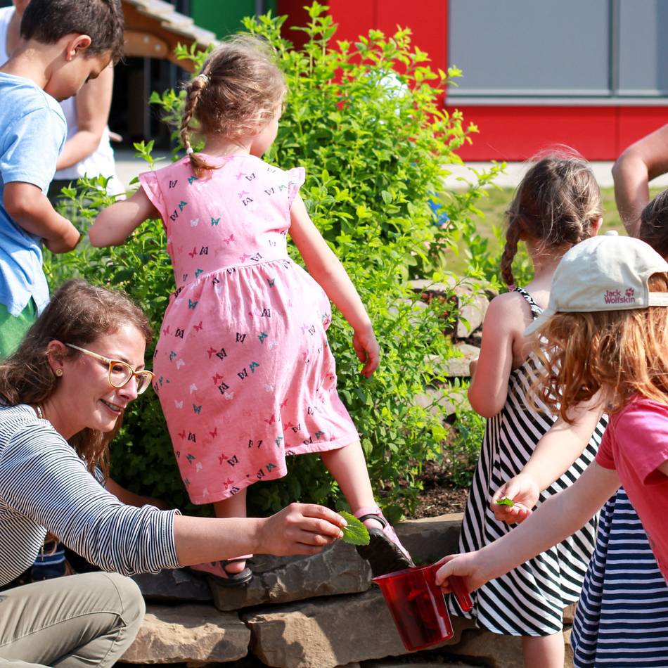 5. Langenfelder Umweltpreis: Welches Projekt für Umwelt und Natur ist preisverdächtig?