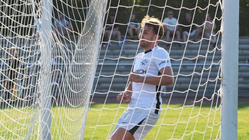 Regionalliga West: Aufsteiger VfB 03 Hilden: Gekommen, um zu bleiben