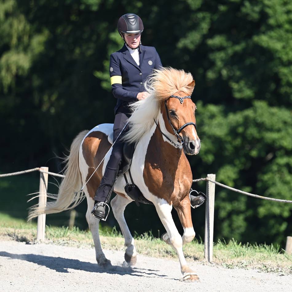 Turnier in Wermelskirchen: 200 Islandpferde tölten in Lindscheid