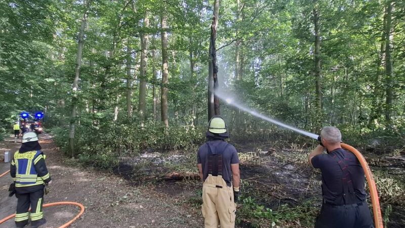 Feuerwehreinsatz in Krefeld: Rund 30 Quadratmeter Wald brannten im Forstwald