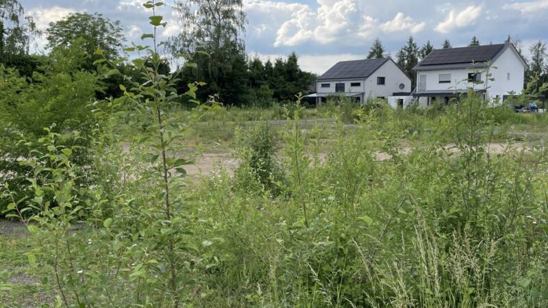 „Bauen – Kaufen – Wohnen“ in Wermelskirchen: Ein Neubaugebiet kommt nicht vom Fleck