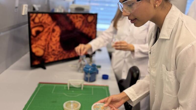 „Er wächst zufällig, in alle Richtungen“: Ein Schleimpilz orakelt an der Klever Hochschule