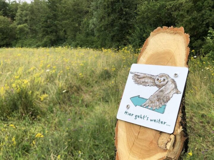 Ausflüge in Grevenbroich und Umgebung: Kostenlose Touren durch Tagebau und Natur