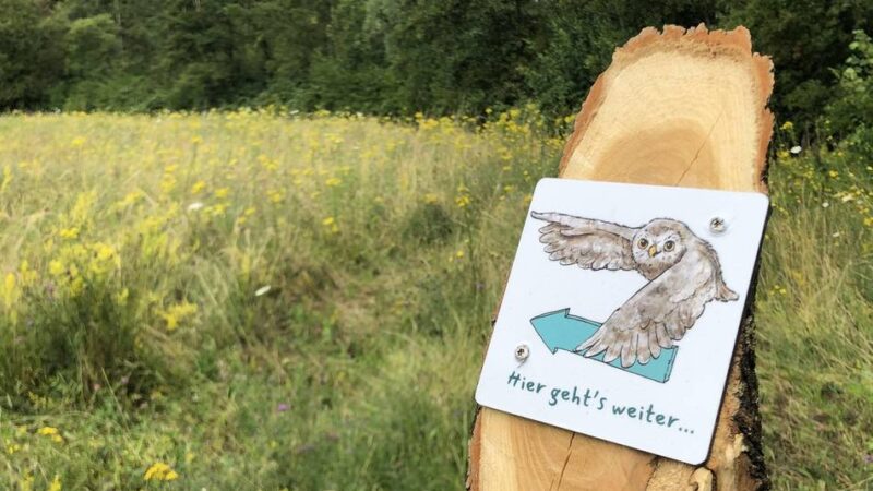 Ausflüge in Grevenbroich und Umgebung: Kostenlose Touren durch Tagebau und Natur