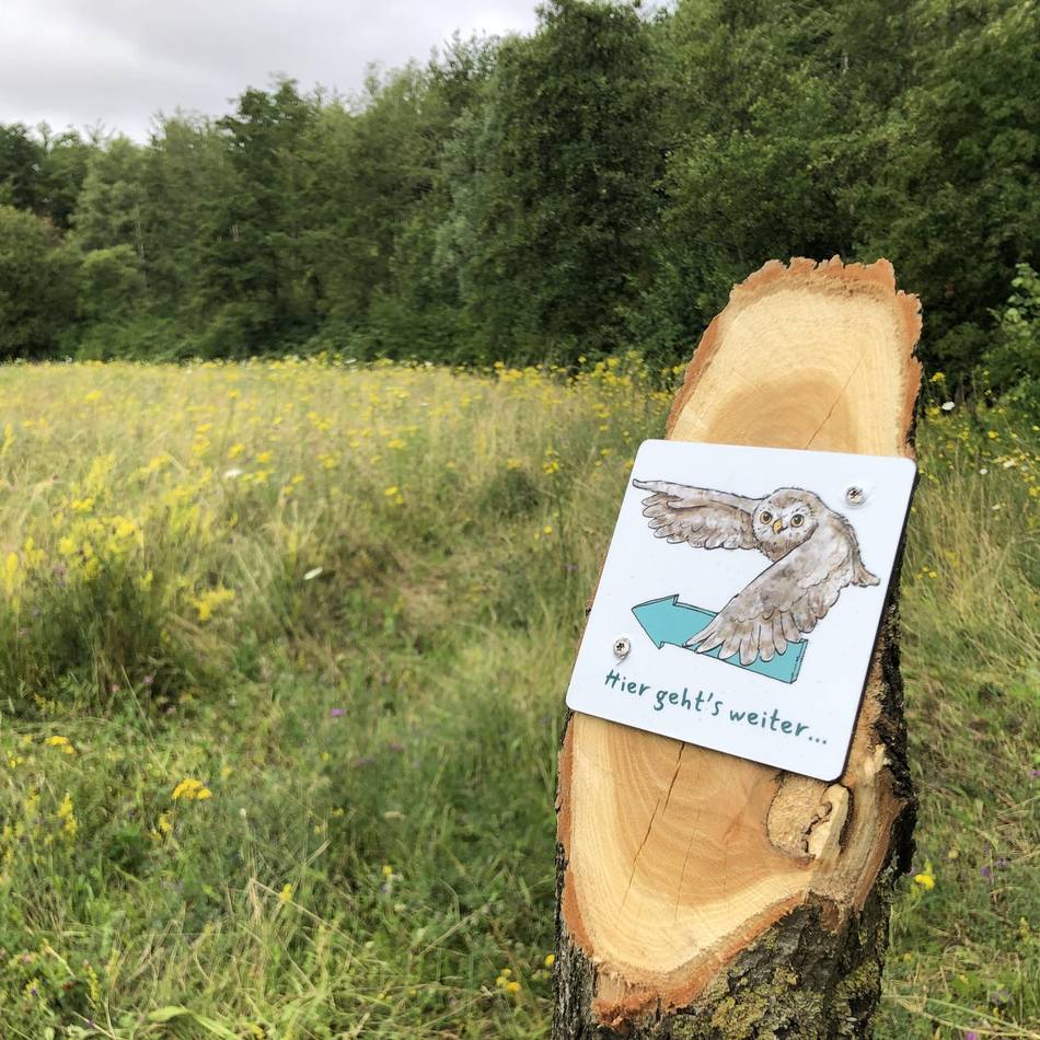 Ausflüge in Grevenbroich und Umgebung: Kostenlose Touren durch Tagebau und Natur