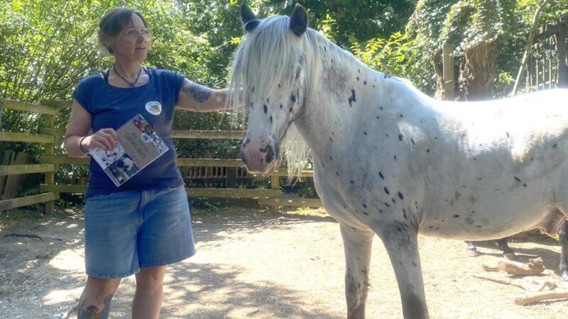 Jugendfarm in Meerbusch: Arche Noah will Kinder stärken – und steht selbst vor großen Herausforderungen