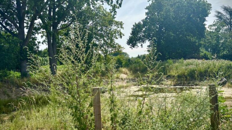 Bauen in Düsseldorf : Das „wilde Haus“ von der Bertastraße – Grundwasser verhindert Bau