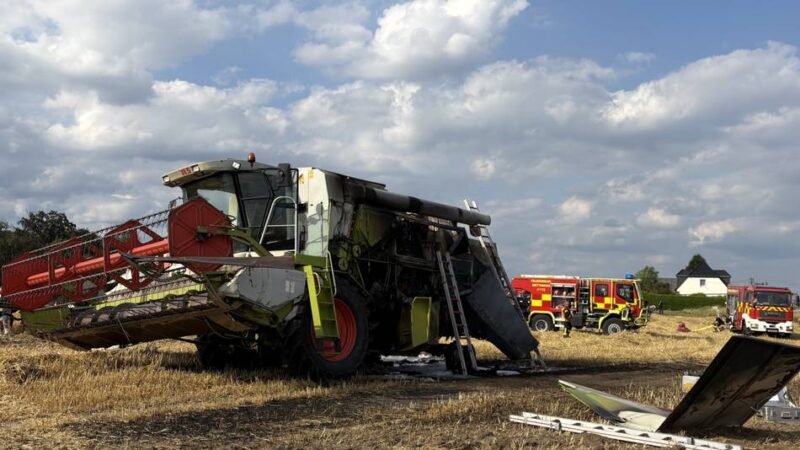 Feuerwehr Mettmann warnt: Ein Funke reicht – und der Wald brennt