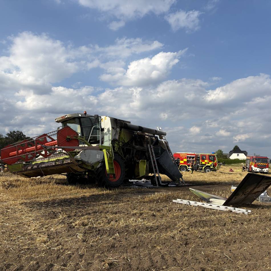 Feuerwehr Mettmann warnt: Ein Funke reicht – und der Wald brennt