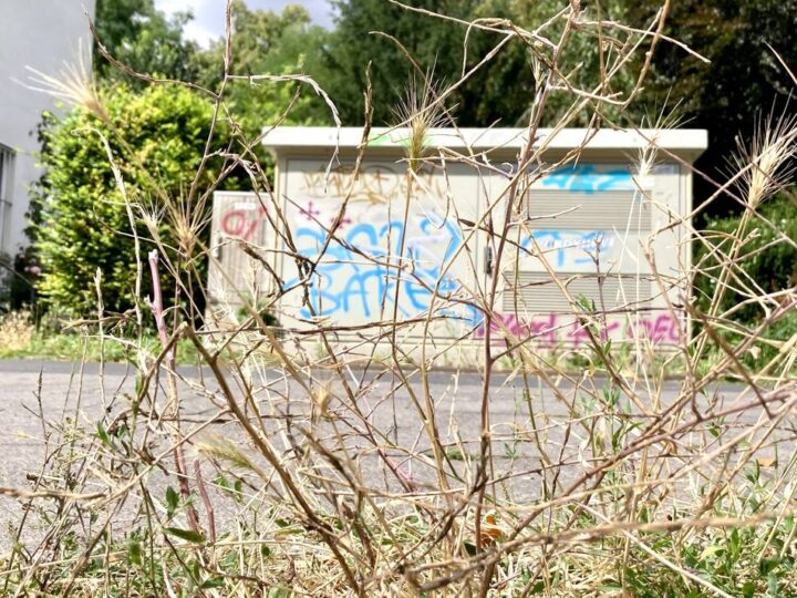 Ärger in Wesel wegen Müll und Graffiti: Caritas-Direktor redet Klartext –  „Finde diese Art der Sachbeschädigung furchtbar“