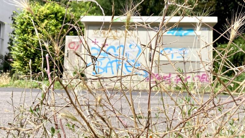 Ärger in Wesel wegen Müll und Graffiti: Caritas-Direktor redet Klartext –  „Finde diese Art der Sachbeschädigung furchtbar“