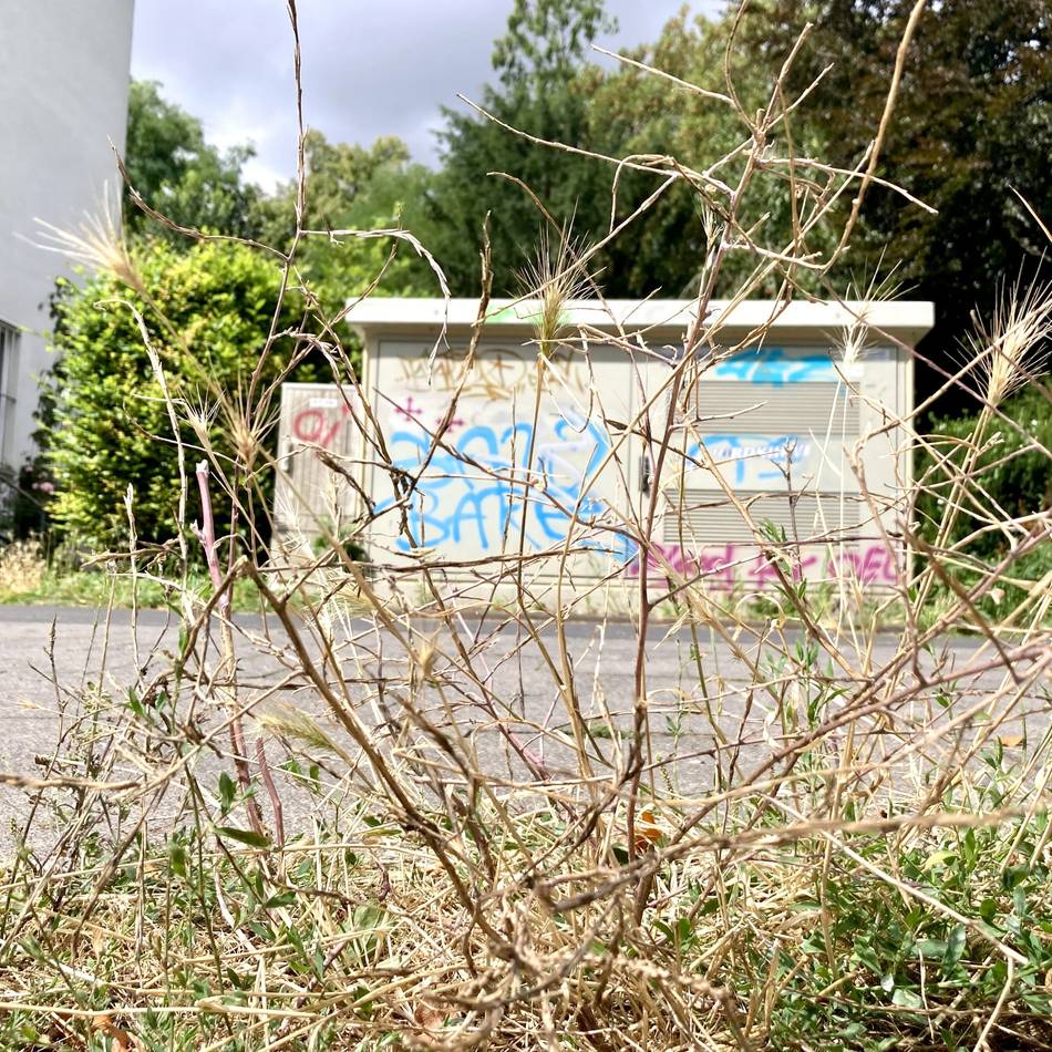 Ärger in Wesel wegen Müll und Graffiti: Caritas-Direktor redet Klartext –  „Finde diese Art der Sachbeschädigung furchtbar“