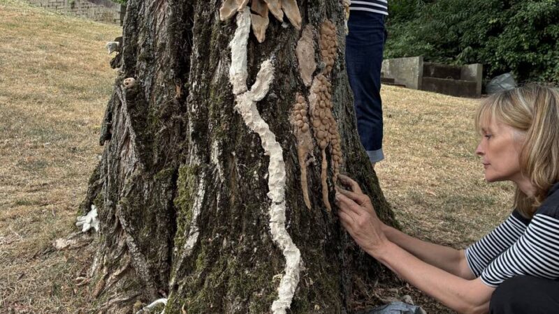 Projektwoche im Skulpturengarten : Kunst mit Ablaufdatum – Töpfern unter freiem Himmel
