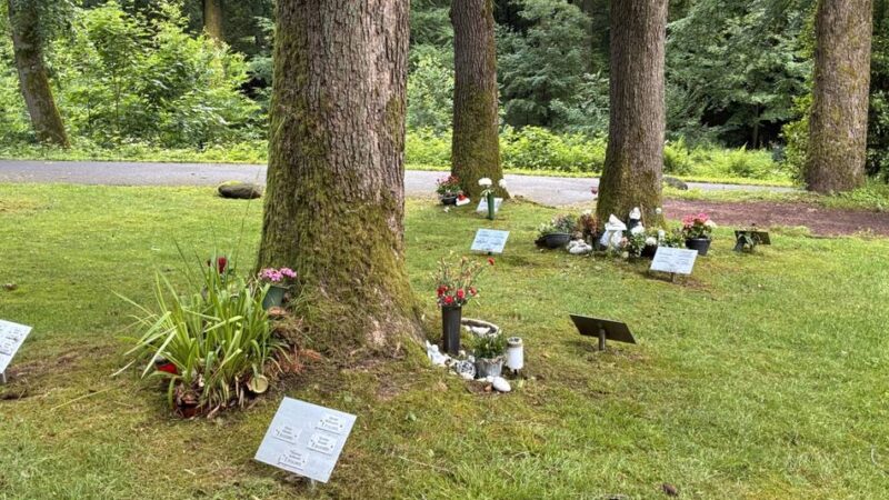 Friedhofskonzept in Wermelskirchen: Erste Baumbestattungen in Hünger ab 2027 realistisch