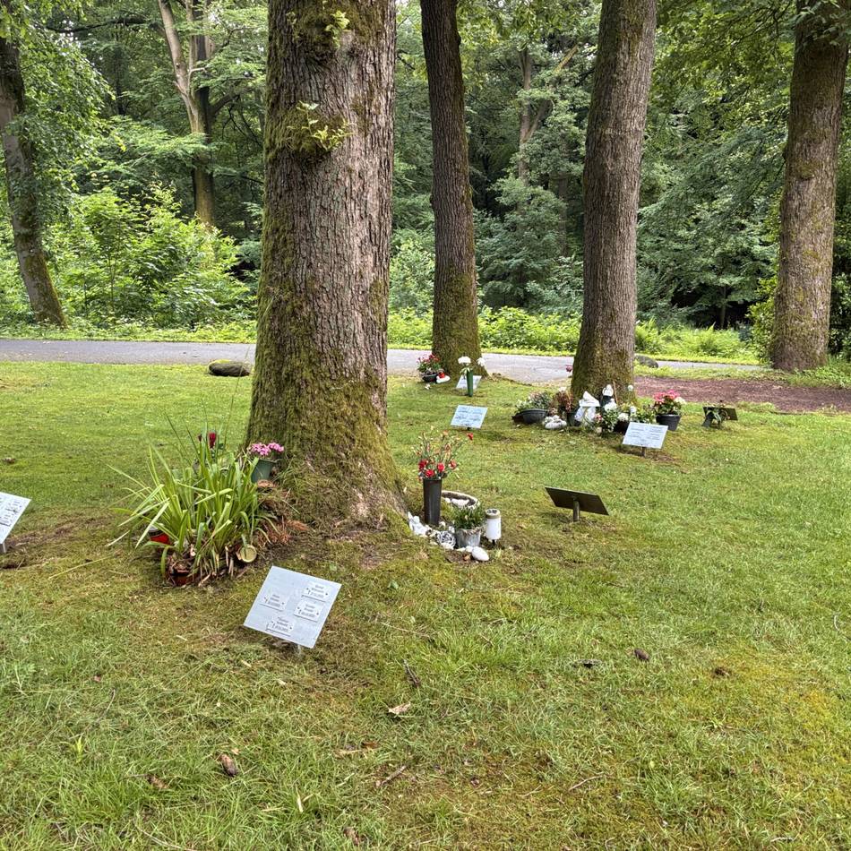 Friedhofskonzept in Wermelskirchen: Erste Baumbestattungen in Hünger ab 2027 realistisch