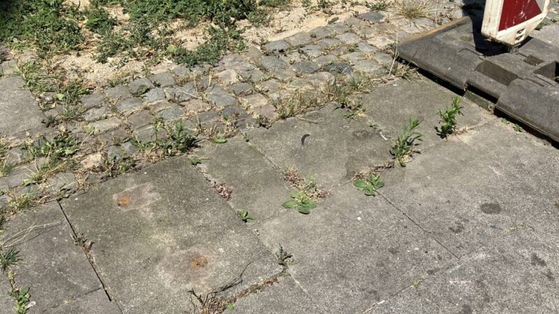Randale in Viersen: Jugendliche terrorisieren erneut die Süchtelner Innenstadt