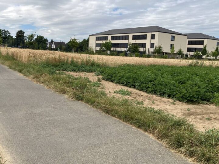 Erinnerungskultur in Büttgen: Fahren Schüler künftig über den Paul-Mendel-Weg zur Gesamtschule?