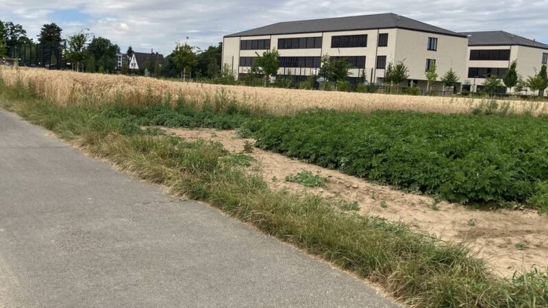 Erinnerungskultur in Büttgen: Fahren Schüler künftig über den Paul-Mendel-Weg zur Gesamtschule?