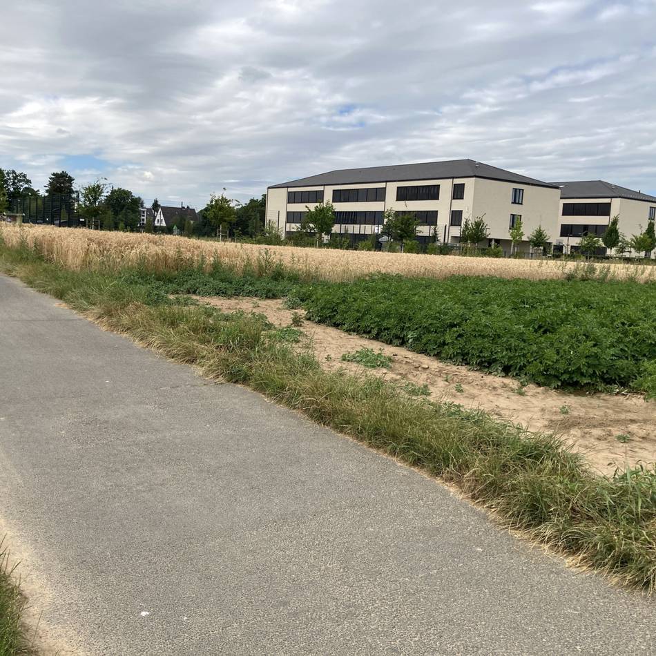 Erinnerungskultur in Büttgen: Fahren Schüler künftig über den Paul-Mendel-Weg zur Gesamtschule?