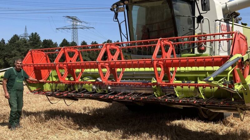 Trockenheit am Niederrhein: Weizenernte in Kaarst so früh wie selten – „Die Jahreszeiten haben sich verschoben“