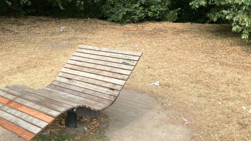 Kaarster Stadtpark: Jugendparlament kämpft gegen Vandalismus und Müll an Himmelsliegen