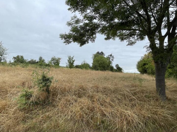 Bauvorhaben in Mönchengladbach: Hier sollen Wohnungen, Büroräume und eine Kita entstehen