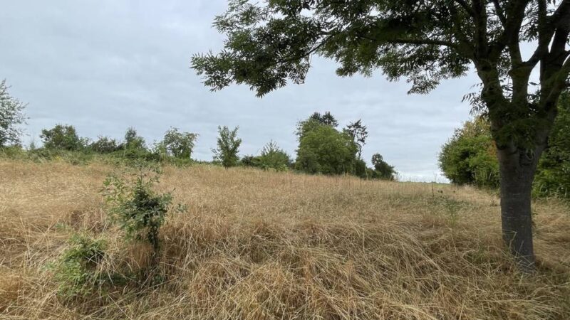 Bauvorhaben in Mönchengladbach: Hier sollen Wohnungen, Büroräume und eine Kita entstehen