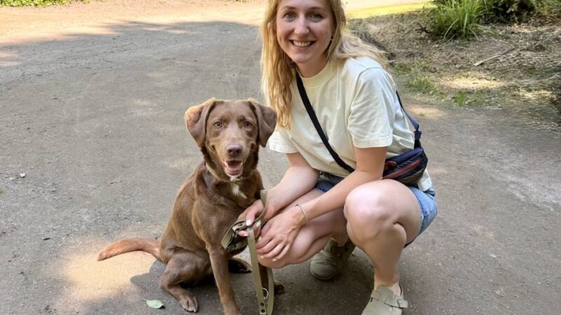Tipps aus Mönchengladbach: Wie Hunde vor der Sommerhitze geschützt werden können