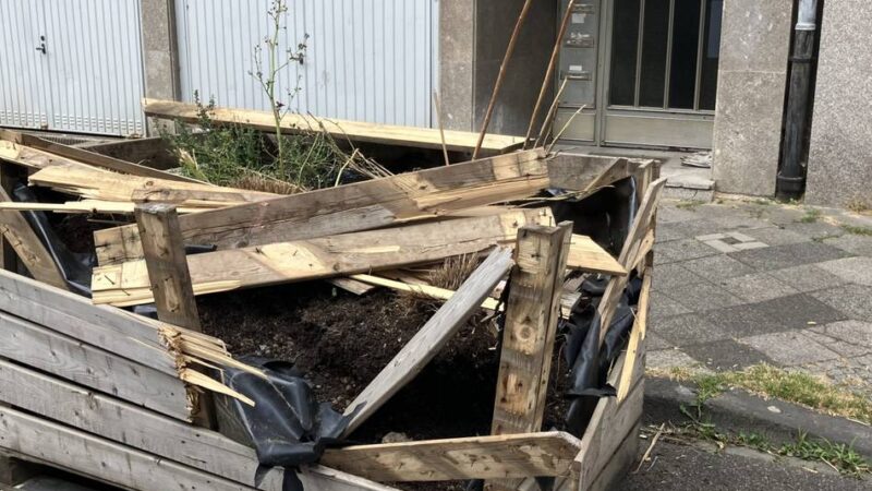 Vorfall in Mönchengladbach: Explosion beschädigt Erinnerungsort für ermordete Jüdin