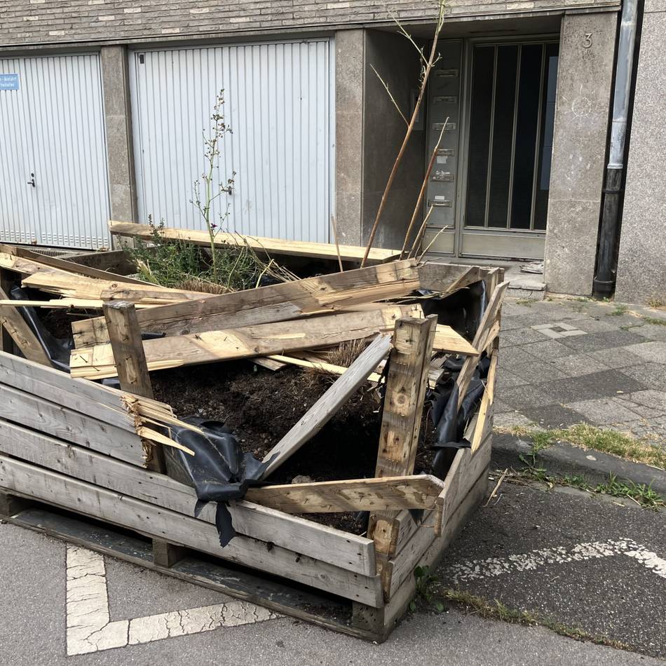 Vorfall in Mönchengladbach: Explosion beschädigt Erinnerungsort für ermordete Jüdin
