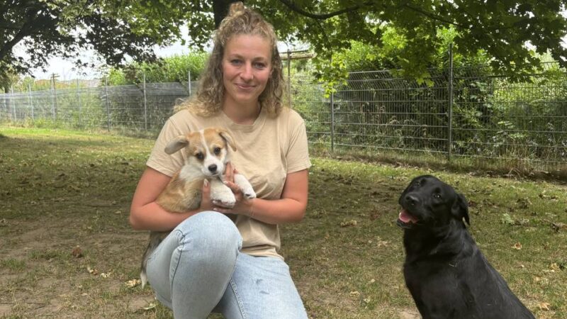 Plätze im Sommer sind begehrt: Urlaub ohne Hund? So läuft der Alltag im Tier-Hotel