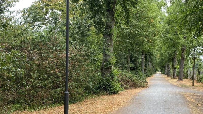 Öffentliche Sicherheit in Krefeld: Beleuchtung im Kaiser-Wilhelm-Park soll Sicherheitsgefühl stärken