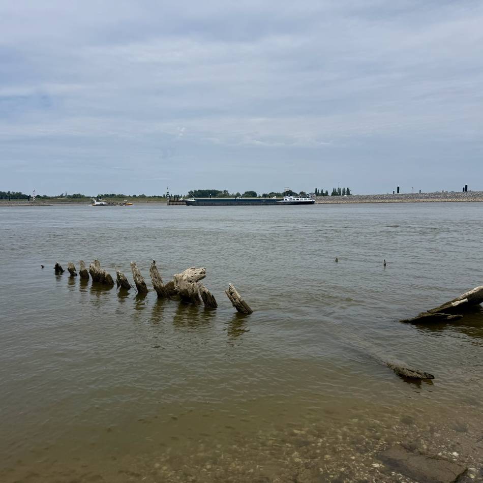 Niedrigwasser im Kreis Kleve: Rheinpegel nähert sich historischem Tief von 2018