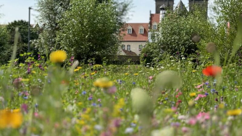 Angebot der Tourist Information: Xanten lädt in den Ferien zu Stadtführungen ein