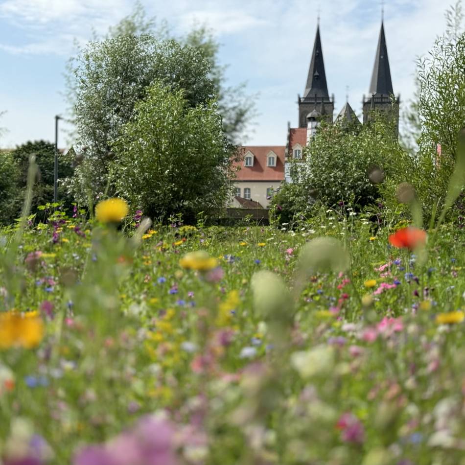 Angebot der Tourist Information: Xanten lädt in den Ferien zu Stadtführungen ein