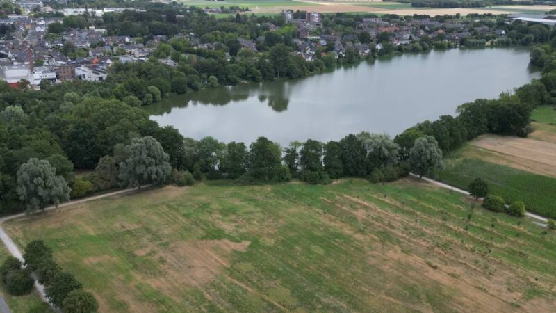 Gefährliche Blaualgen: Stadt Nettetal warnt an zwei Gewässern