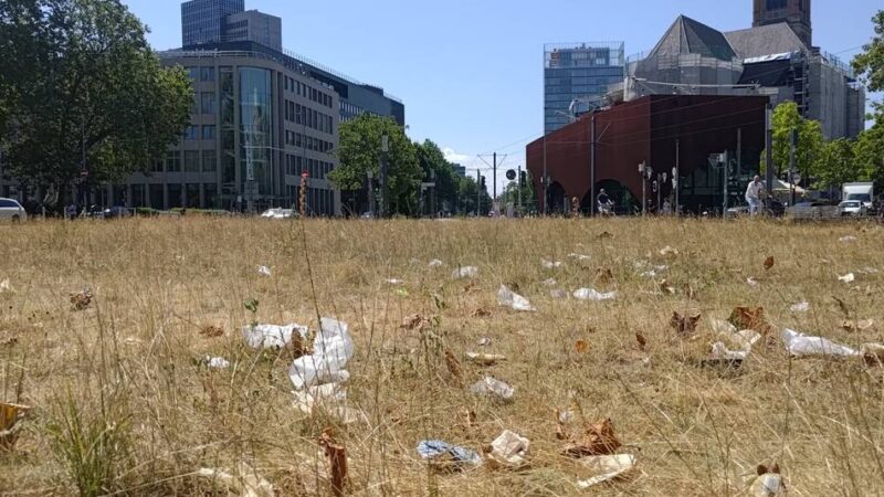 Innenstadt von Düsseldorf: Müll und Fäkalien – die Tuchtinsel ist derzeit kein schöner Anblick
