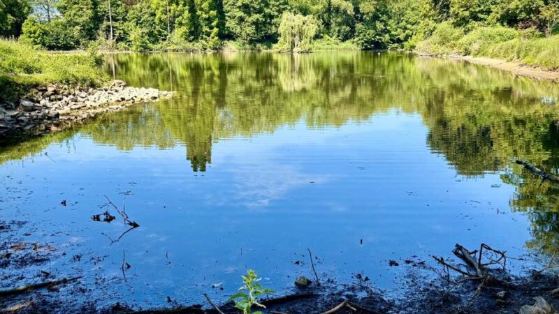 Parks in Düsseldorf: Wasserstand im Ostparkweiher sinkt – Gegenmaßnahmen eingeleitet