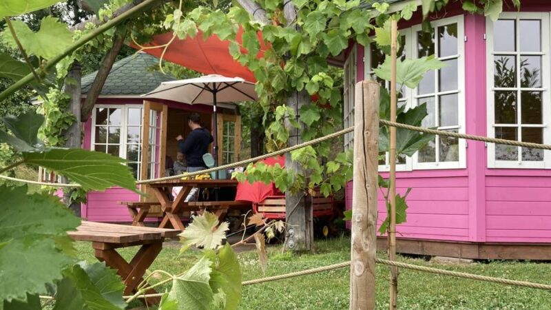 Ausflugstipp für Genießer: Picknicken im Weinberg mit Seeblick – Wo das in Schermbeck möglich ist