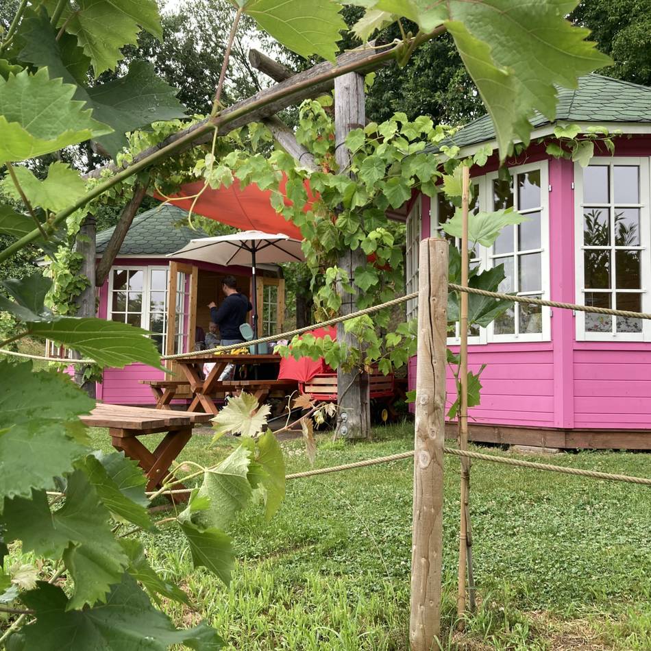 Ausflugstipp für Genießer: Picknicken im Weinberg mit Seeblick – Wo das in Schermbeck möglich ist