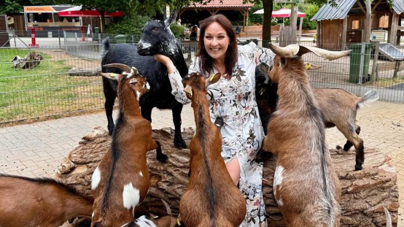 Benefizgala unterstützt Tiergarten Kleve: Ziege beißt Musicalstar in die Haare – sie singt trotzdem weiter