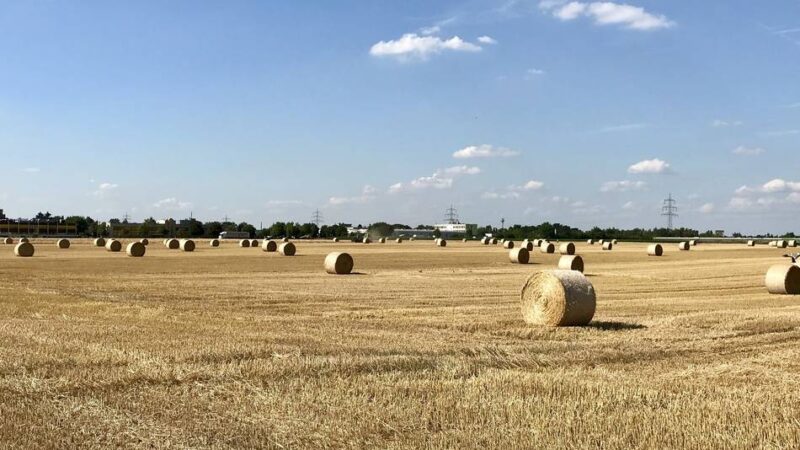 IHK sieht großen Bedarf in Neuss: „Produktionsunternehmen suchen seit Jahren vergeblich nach Gewerbeflächen“