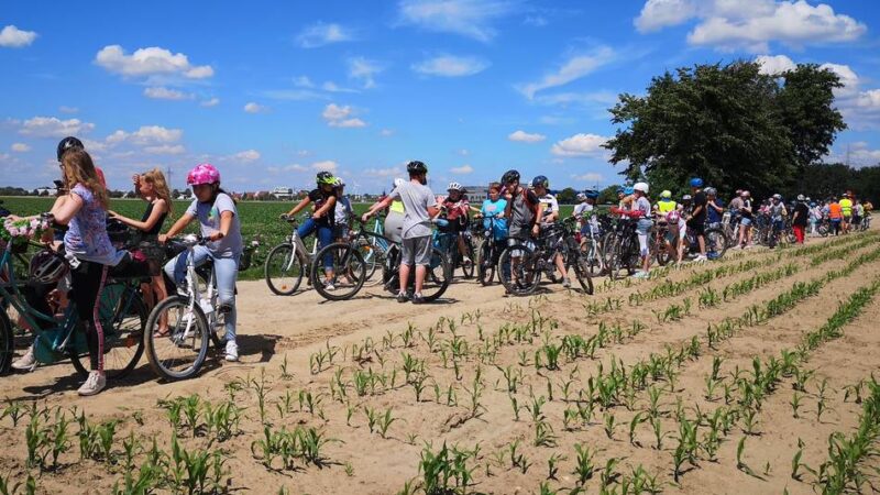 Stadtradeln in Kaarst: Gesamtschule löst VfR Büttgen als Gesamtsieger ab