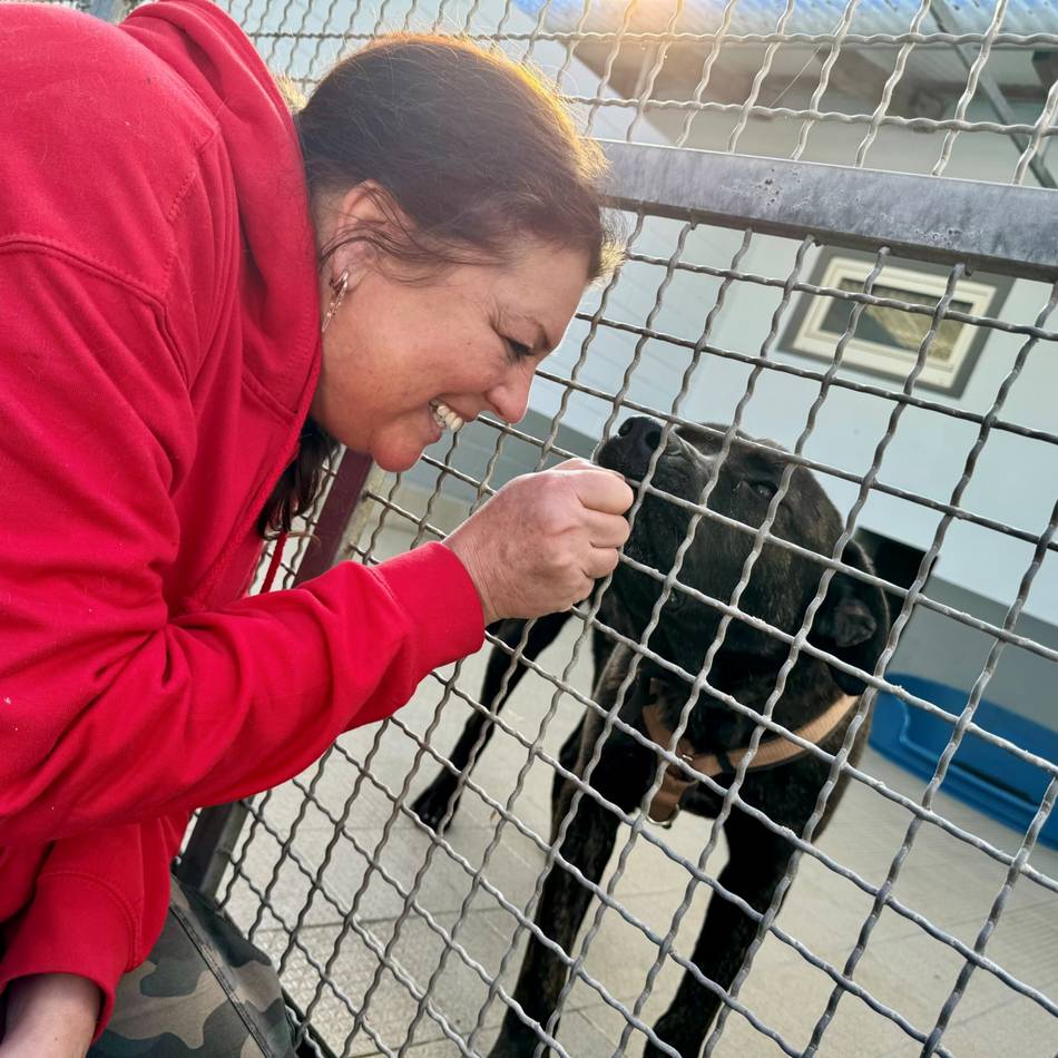Einrichtung in Bettikum: Pommes, Tattoos und Katzenkinder beim Tag der offenen Tür im Tierheim